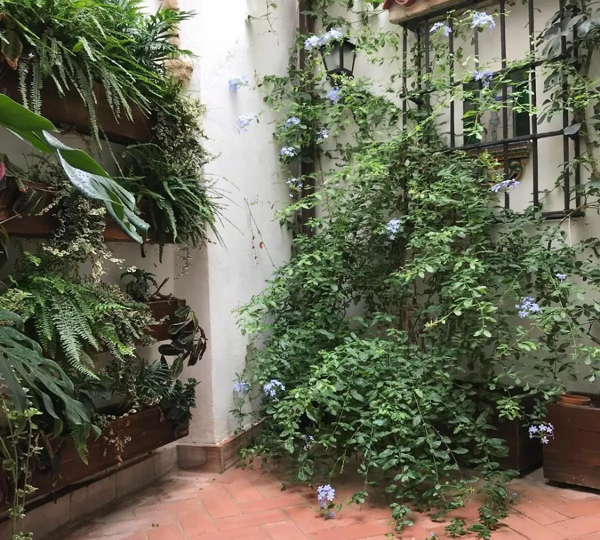度假居 科爾多瓦La Casa Del Retablo别墅